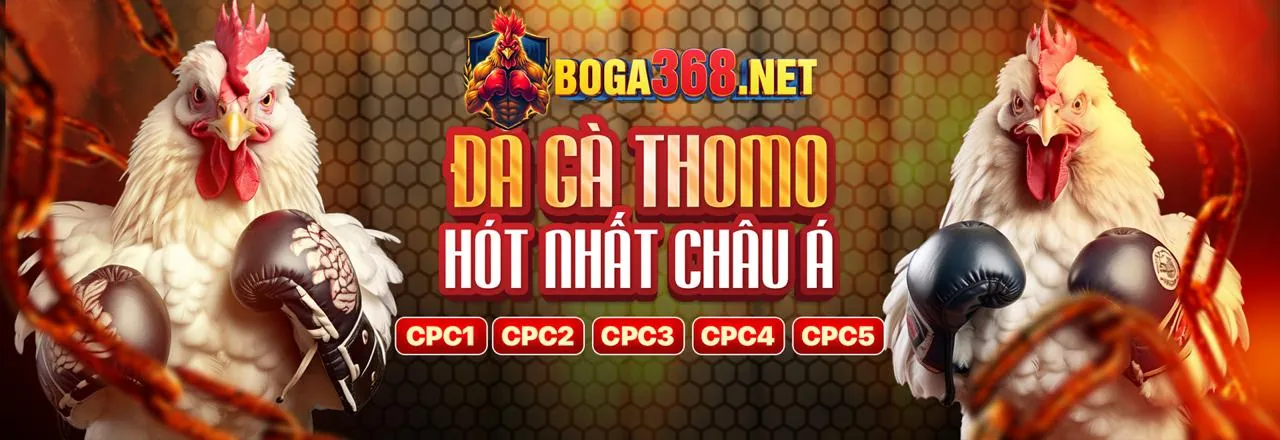 Nền tảng an toàn của link bong 88