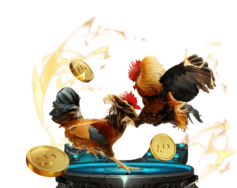 Cá cược Bóng đá Bong 88